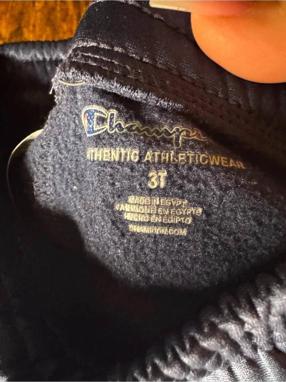 5/$25 Toddler Champion Navy Blue Sweats WITH FLAWS 3T